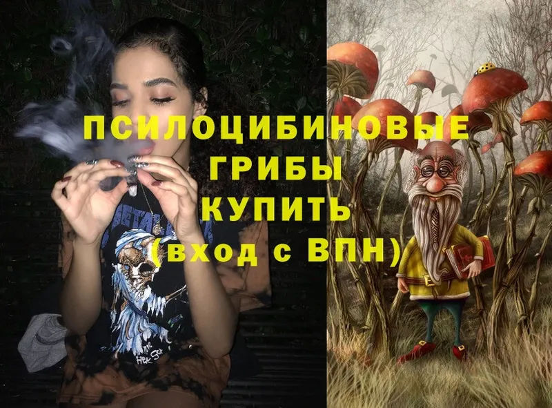 shop какой сайт  магазин  наркотиков  Шадринск  Галлюциногенные грибы Psilocybe  ссылка на мегу зеркало 